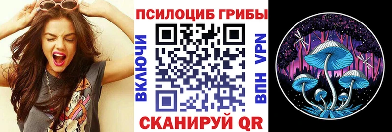 Галлюциногенные грибы прущие грибы  кракен сайт  Пустошка 