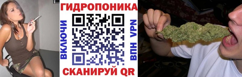 гидра маркетплейс что такое Пустошка Конопля семена